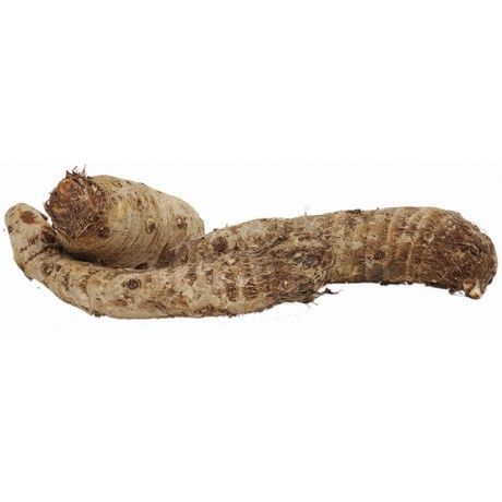 Fresh Coco Yams White 1KG