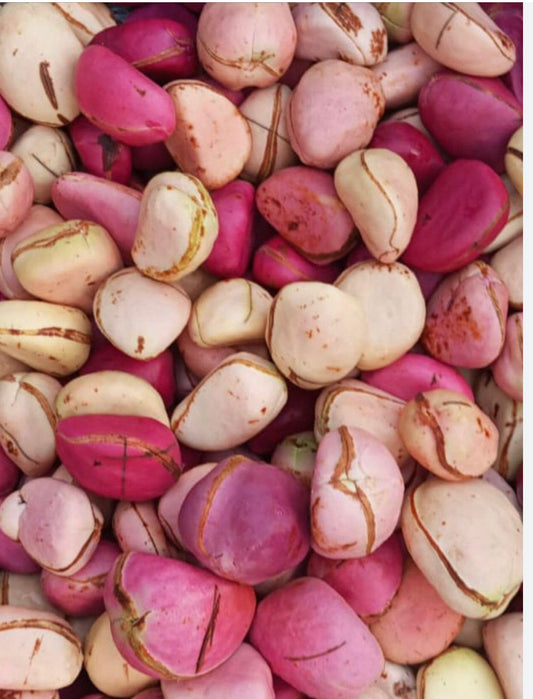 Cola Nuts/ Kola nuts - per kg