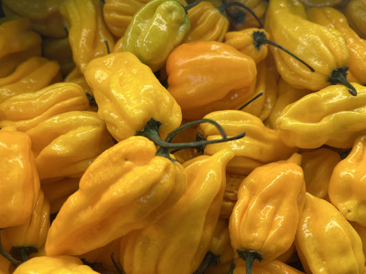 Fresh Habanero Pepper(VERY HOT)/100g - Yellow