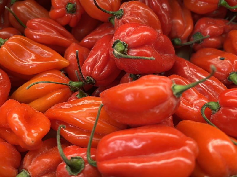 Fresh Habanero Pepper(VERY HOT)- Red