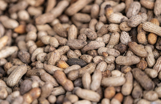 Fresh groundnut/peanut - per kg